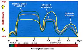 spectral-reflectance