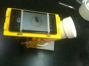 An insect identification trap